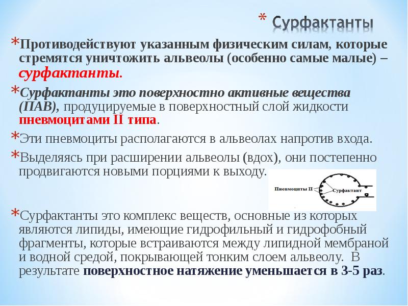 Функции сурфактанта. Поверхностное натяжение альвеол. Пав сурфактант. Сурфактант физиология дыхания. Сила поверхностного натяжения жидкости в альвеолах.