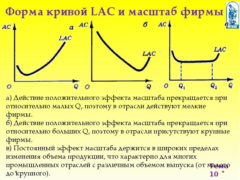 Форма кривая. Крупные фирмы, эффект масштаба.. Эффект масштаба и структура отраслей. Формы Кривой. Кривая эффект масштаба.