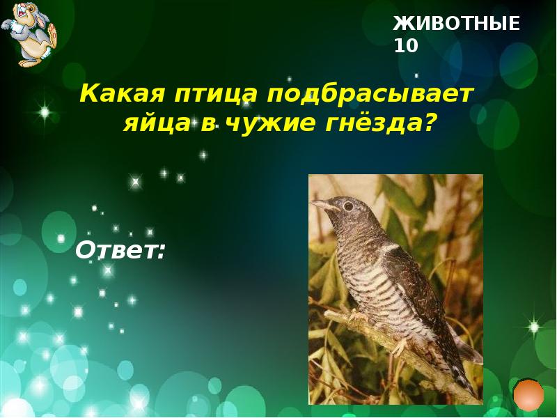 Что где когда 2 класс презентация