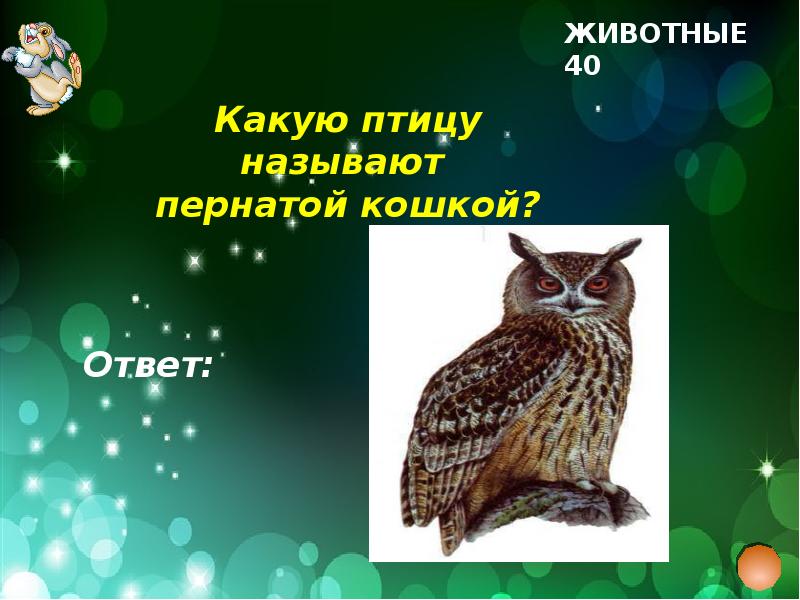 Презентация викторина что где когда для начальной школы