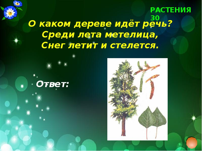 Презентация викторина что где когда для начальной школы