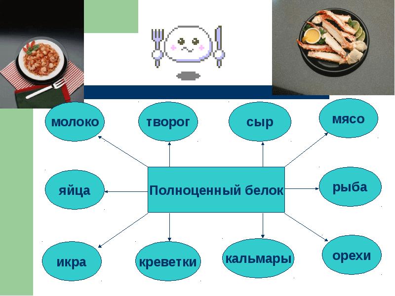 Все о пище с точки зрения химика проект по химии