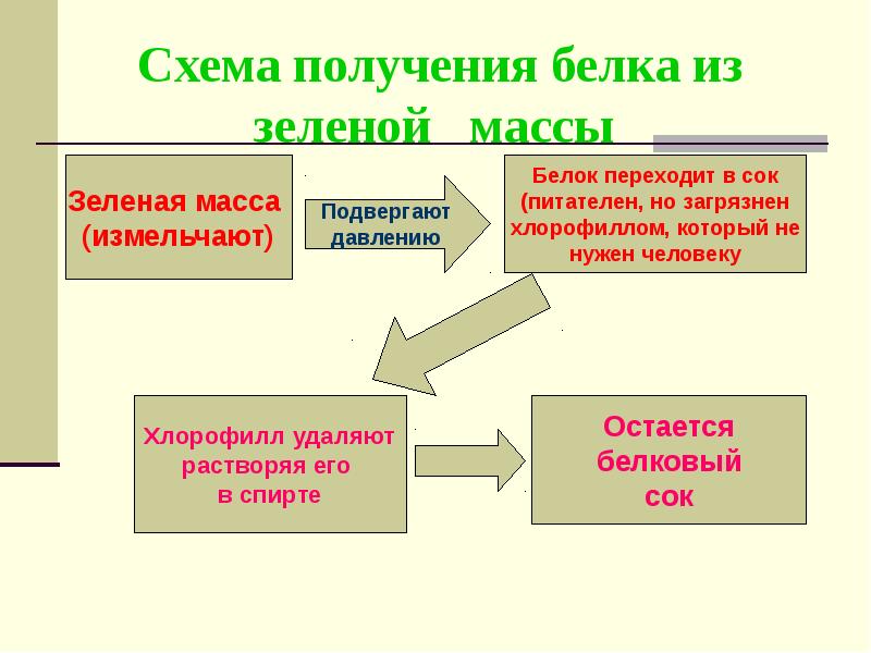 Все о пище с точки зрения химика презентация