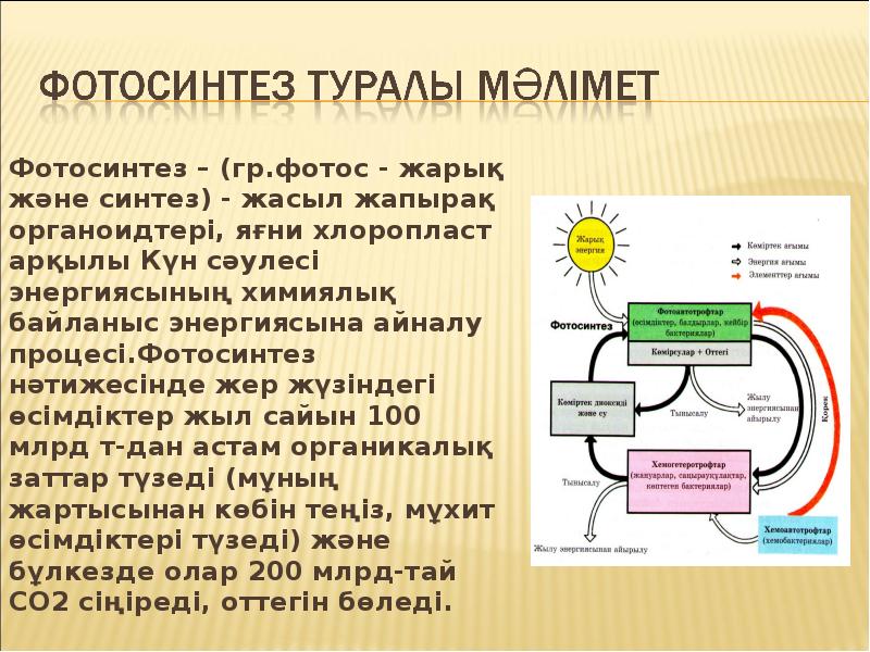 Синтез в природе. Слайд фотосинтез. Фотосинтез дегеніміз не. Фотосинтез хемосинтез кыргызча. Фотосинтез казакша.