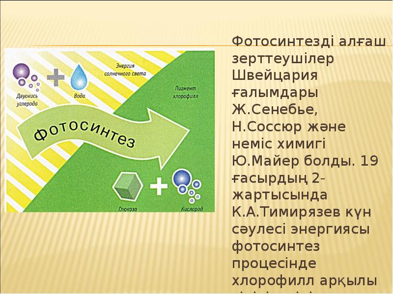 Фотосинтезді алғаш зерттеушілер Швейцария ғалымдары Ж.Сенебье, Н.Соссюр және неміс химигі Ю.Майер
