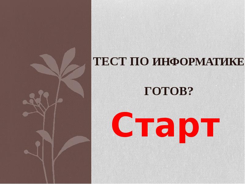 Тест по информатике Готов? Старт