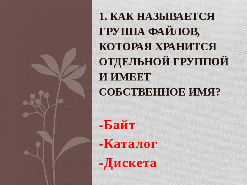 1. Как называется группа файлов, которая хранится отдельной группой и имеет