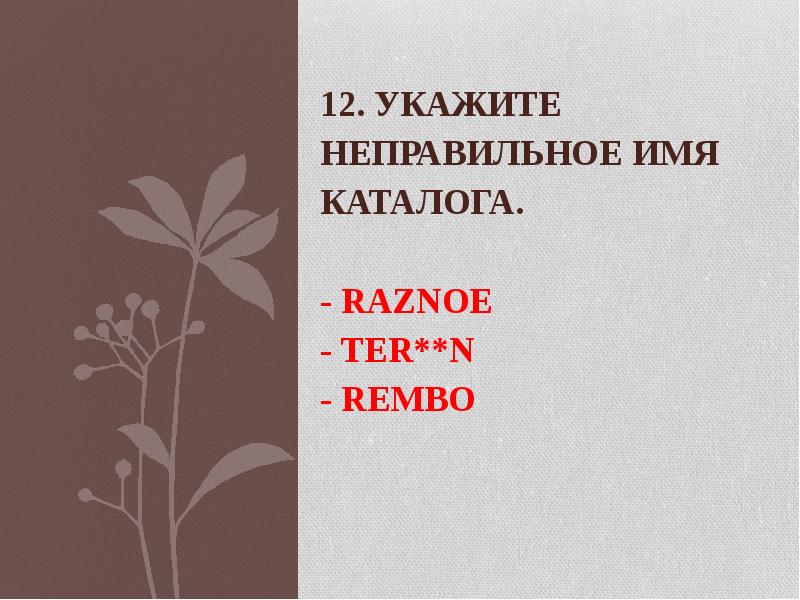 12.</p>
<p> Укажите неправильное имя каталога. - RAZNOE - TER**N -