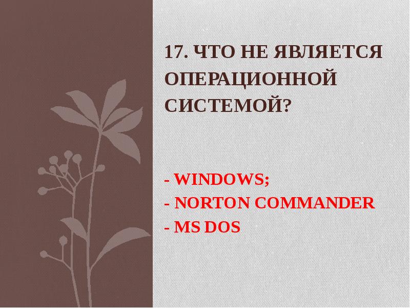 17. Что не является операционной системой? - WINDOWS; -