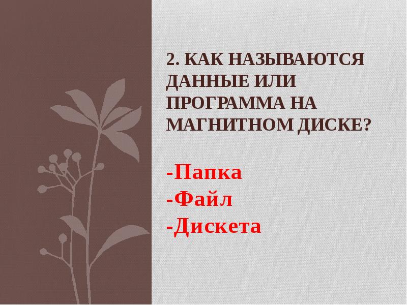 2. Как называются данные или программа на магнитном диске? -Папка
