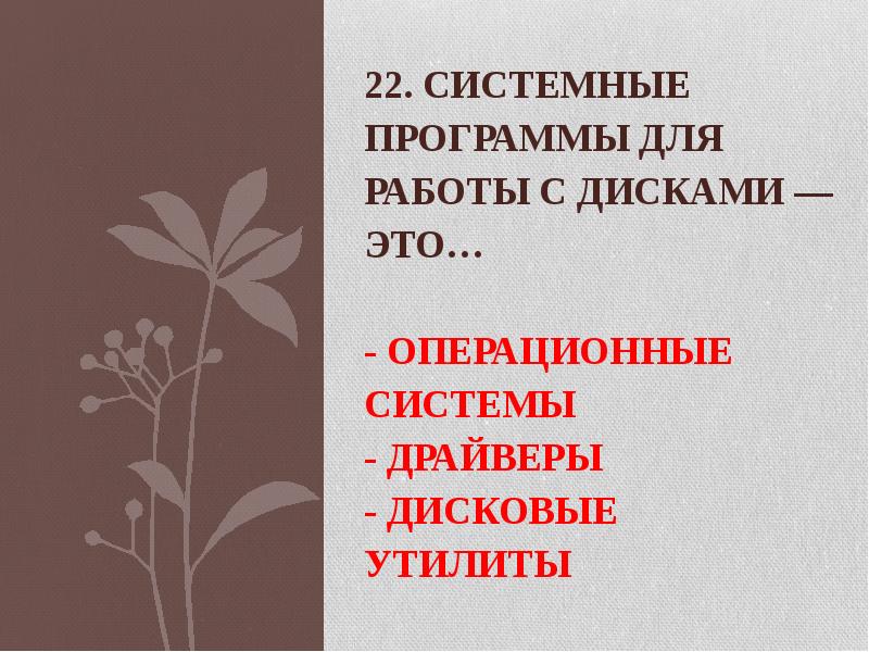 22. Системные программы для работы с дисками — это… -