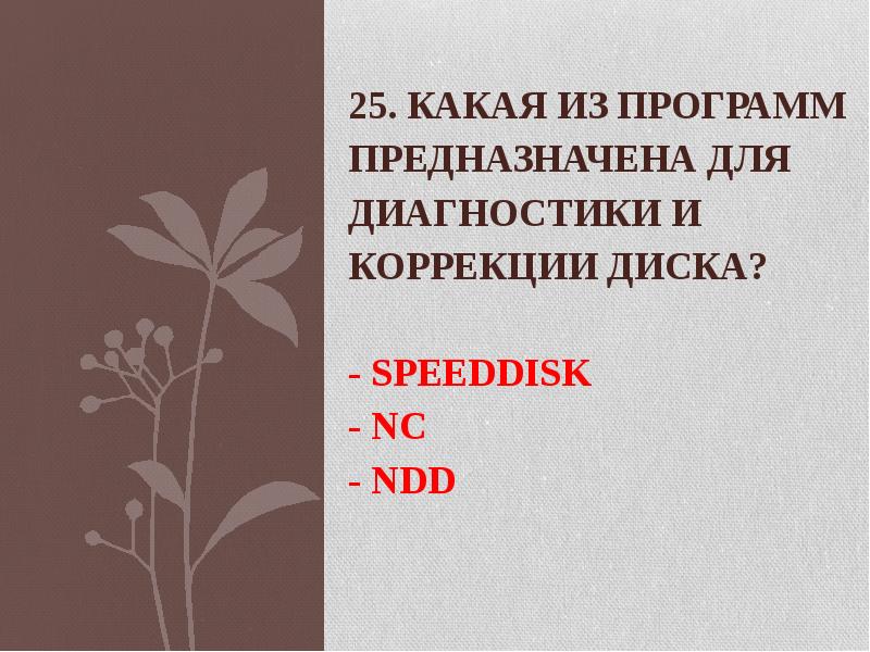 25. Какая из программ предназначена для диагностики и коррекции диска? 