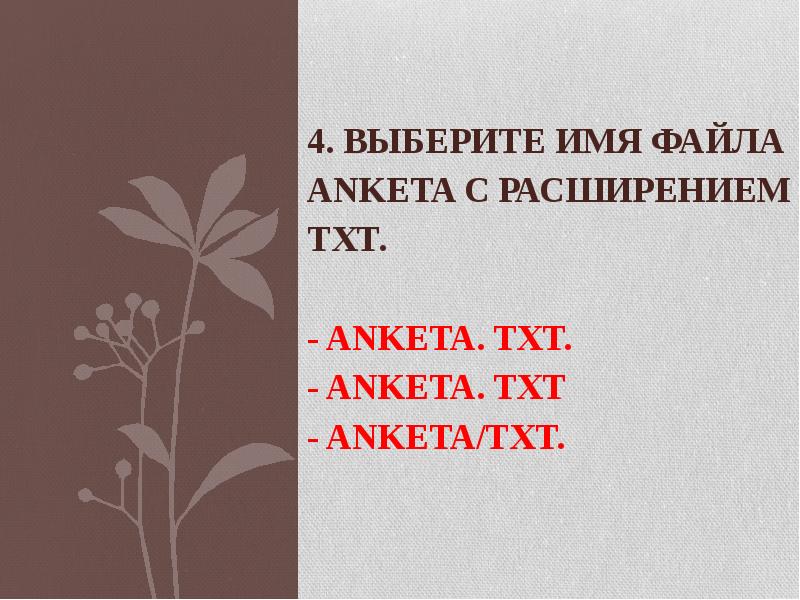 4. Выберите имя файла anketa с расширением txt. - Anketa.