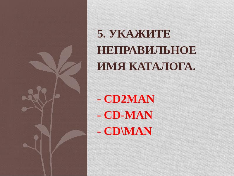 5. Укажите неправильное имя каталога. - CD2MAN - CD-MAN -