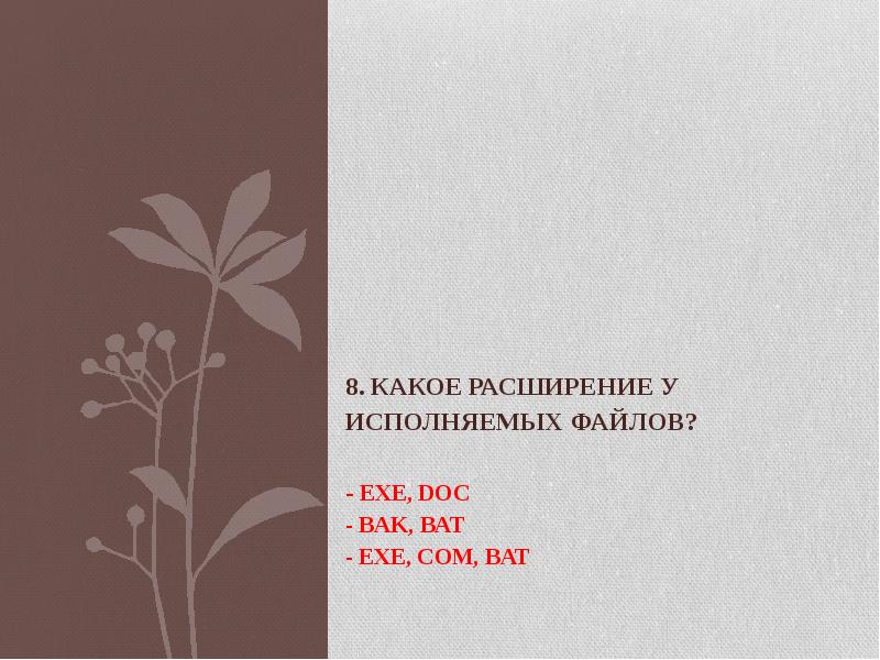 8. Какое расширение у исполняемых файлов? - exe, doс -
