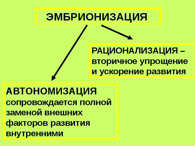 Дальнейший процесс. Автономизация онтогенеза. Эмбрионизация онтогенеза. Автономизация — основное направление эволюции онтогенеза.. Процесс эмбрионизации у животных.