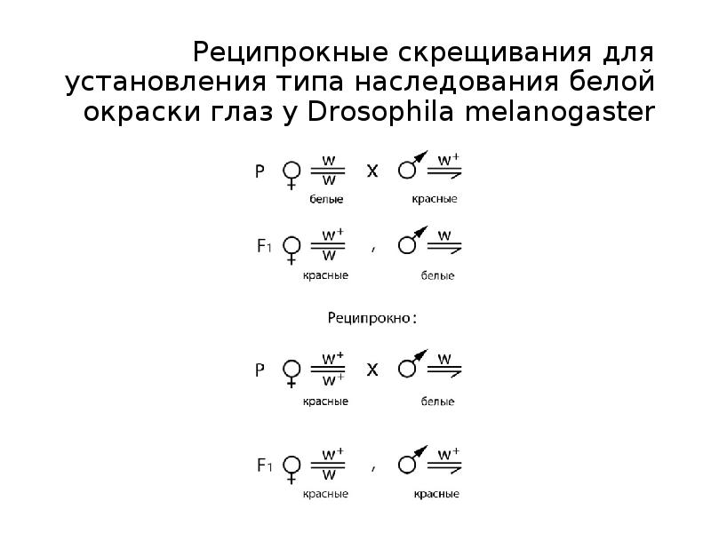 Реципрокное скрещивание схема