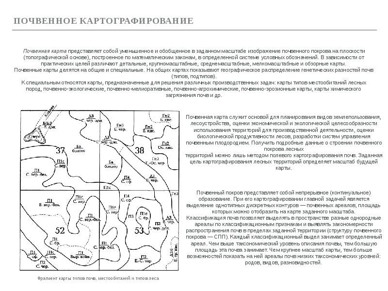 Карта изображающая почвенный покров территории