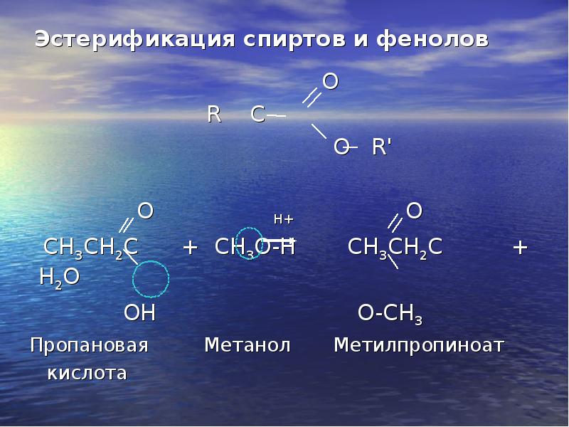 Фенол реагирует с метанолом. Пропановая кислота и метанол. Пропеновая кислота и метанол.