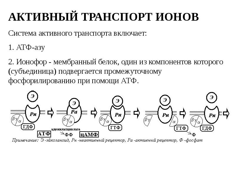 Ионный транспорт. Активный транспорт ионы. Активный транспорт это в фармакологии. Системы активного транспорта ионов. Ионофор ионный транспорт.