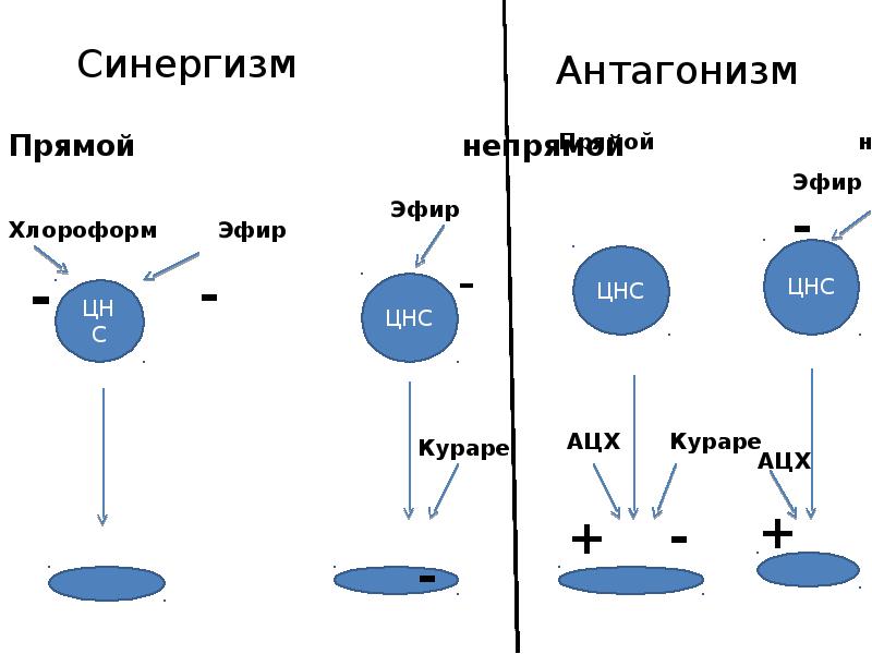 Микробного антагонизма схема