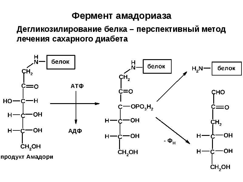 Ферменты патологии. Клиническая биохимия. Предмет биохимии. Дегликозилирование это. Биохимия предмет в меде.