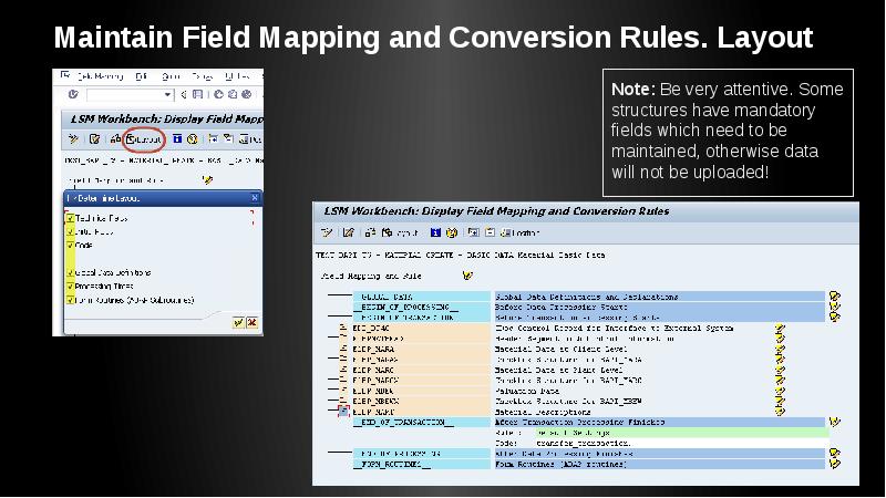 Maintain Field Mapping and Conversion Rules. Layout