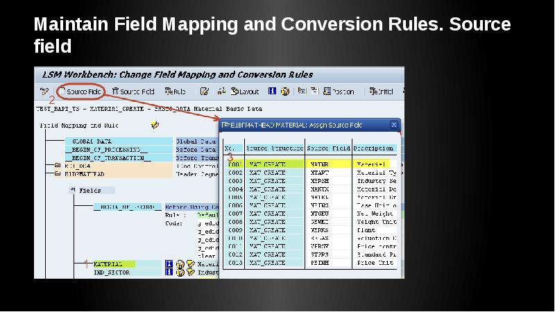 Maintain Field Mapping and Conversion Rules. Source field