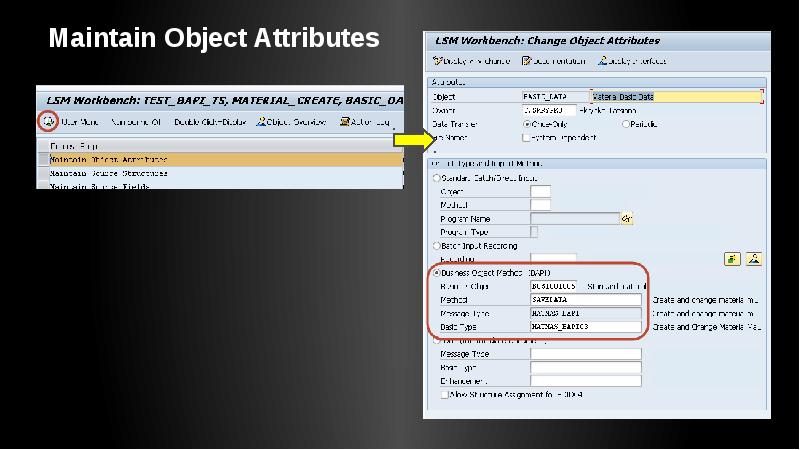 Maintain Object Attributes