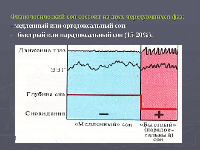 Физиологические механизмы памяти презентация