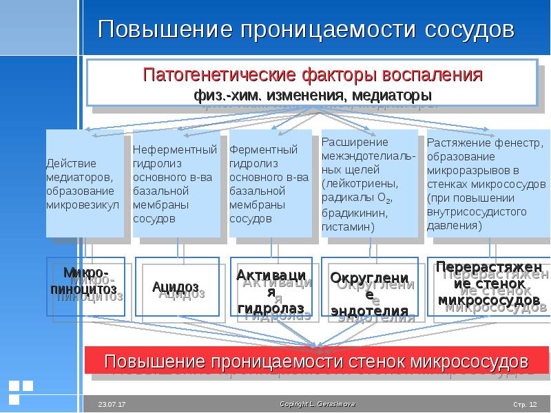 Увеличение проницаемости сосудов. Значение экссудации.