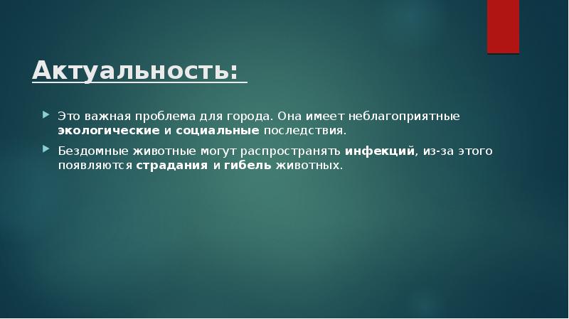 Актуальность проекта бездомные животные