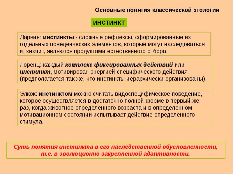 Традиционный понятие. Этология основные понятия. Этология типы поведения. Типы социального поведения этология. Контролируемое поведение.