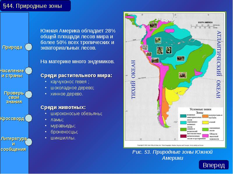 Южная Америка обладает 28% общей площади лесов мира и более 50%