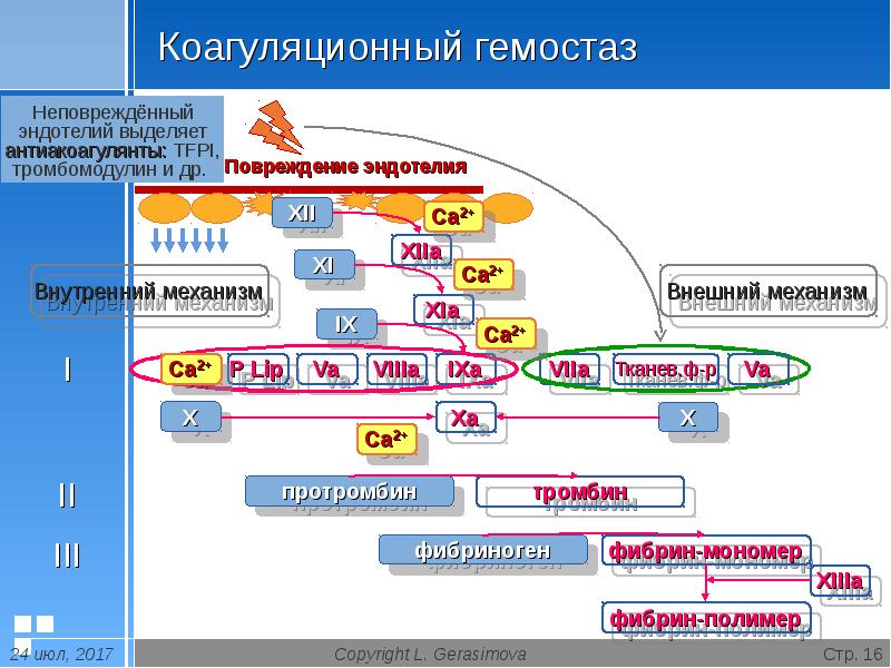 Презентация на тему тромбоз эмболия