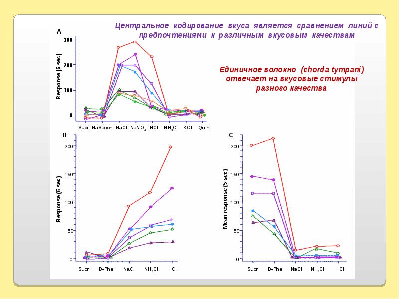 Центр кодирования. Кодирование вкуса. Кодирование вкуса физиология. Кодирование запахов. Центральным для модели является сопоставление.
