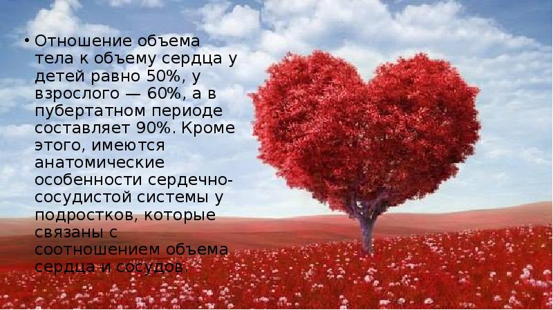 Отношение объема тела к объему сердца у детей равно 50%, у Отношение объема тела к объему сердца у детей равно 50%, у