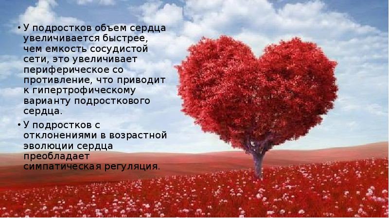 У подростков объем сердца увеличивается быстрее, чем емкость сосудистой сети, это У подростков объем сердца увеличивается быстрее, чем емкость сосудистой сети, это