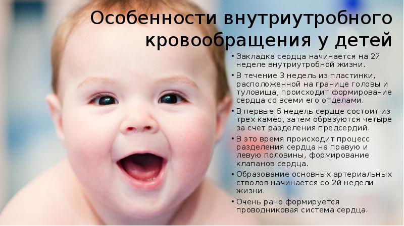 Особенности внутриутробного кровообращения у детей
Закладка сердца начинается на 2й неделе Особенности внутриутробного кровообращения у детей
Закладка сердца начинается на 2й неделе