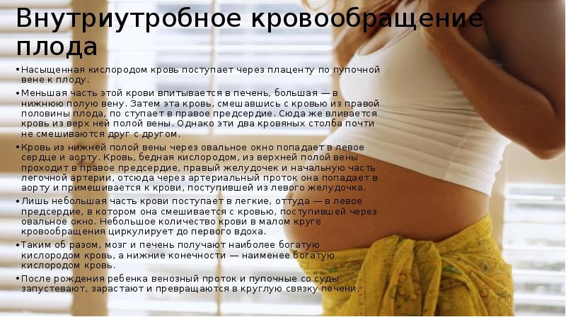 Внутриутробное кровообращение плода
Насыщенная кислородом кровь поступает через плаценту по пупочной Внутриутробное кровообращение плода
Насыщенная кислородом кровь поступает через плаценту по пупочной