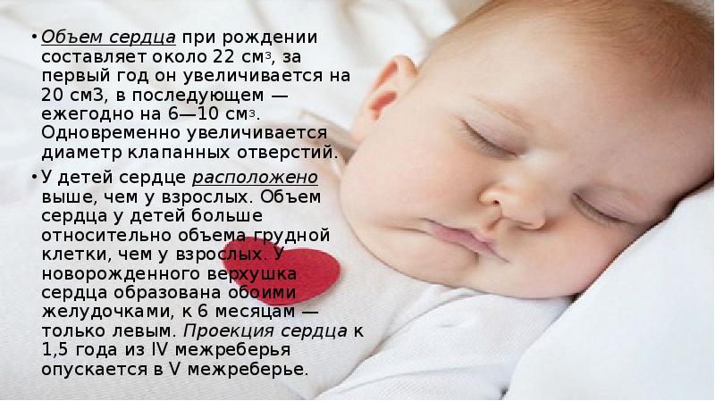 Объем сердца при рождении составляет около 22 см3, за первый год Объем сердца при рождении составляет около 22 см3, за первый год