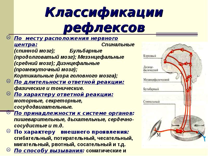 Принадлежность системы