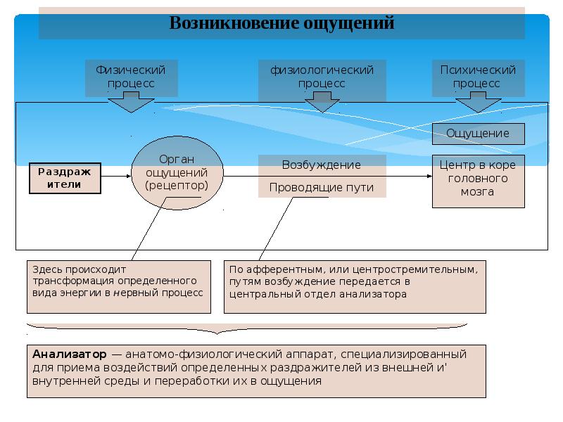 Процесс возникновения чувств