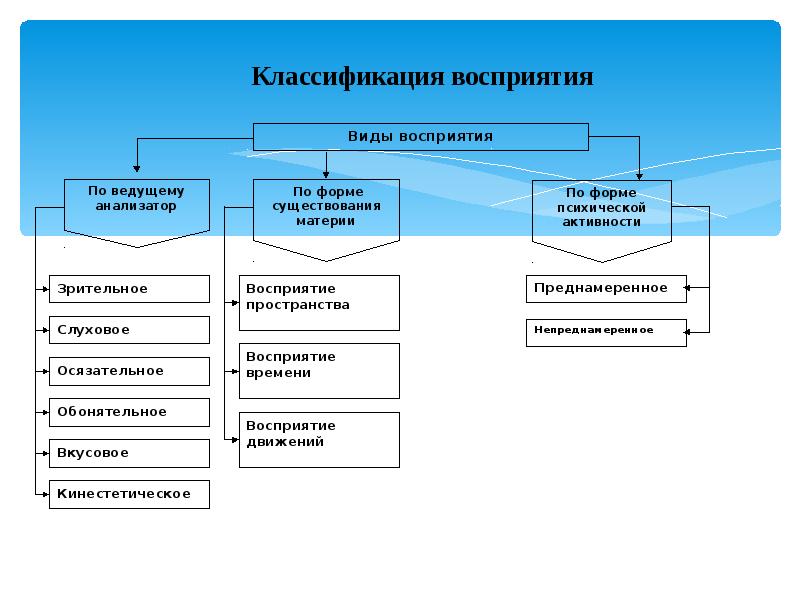 Три формы восприятия. Классификация восприятия. Восприятие виды восприятия. Классификации обманов восприятия. Основные формы восприятия.