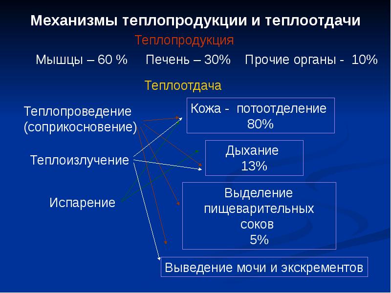 Лихорадка патология презентация