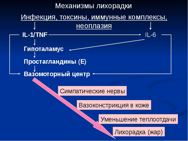 Лихорадка патофизиология презентация