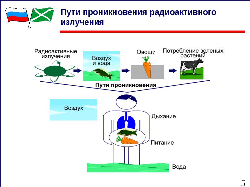 Датчики ионизирующего излучения презентация