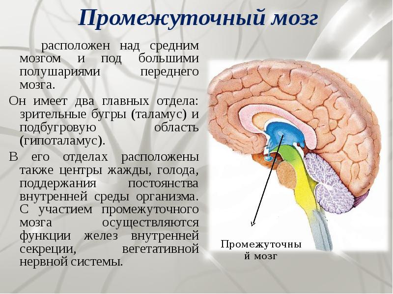 Функции головного телефона не поддерживаются в текущей аппаратной среде