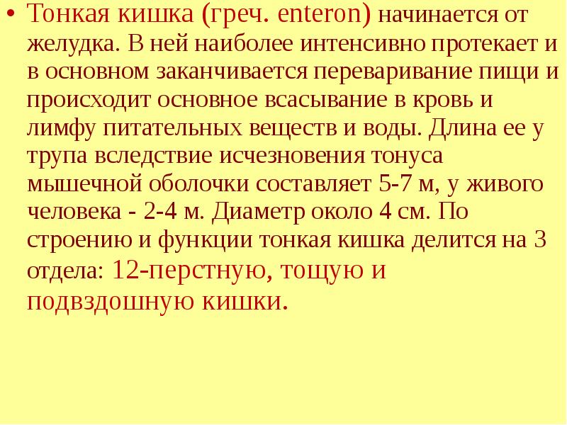 В основном это происходит. Наиболее интенсивно всасывание питательных веществ происходит в. Микроворсинки тонкого кишечника.