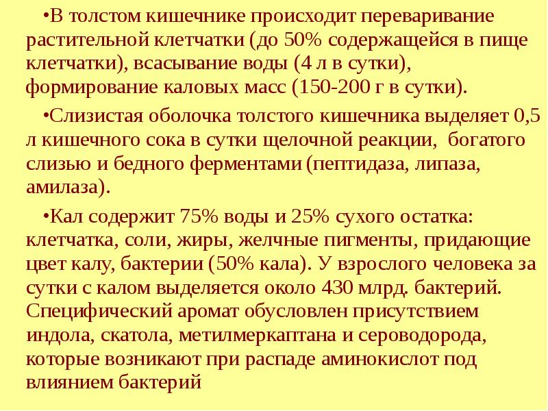 В толстом кишечнике происходит интенсивное всасывание. Формирование каловых масс происходит в. образование сероводорода в толстом кишечнике. формирование каловых масс в толстом кишечнике. образование метилмеркаптана и сероводорода.